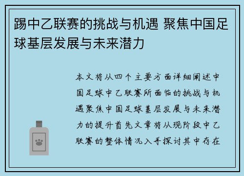 踢中乙联赛的挑战与机遇 聚焦中国足球基层发展与未来潜力